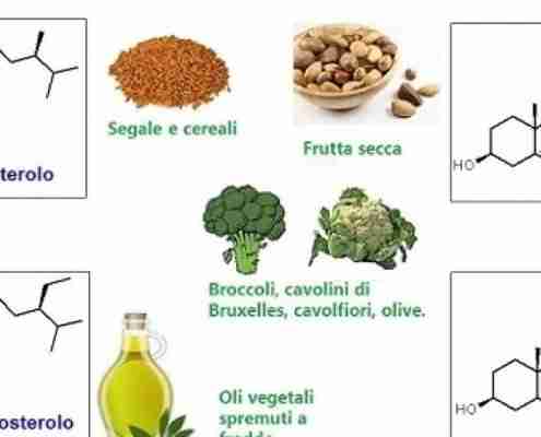 alimenti ricchi di fitosteroli