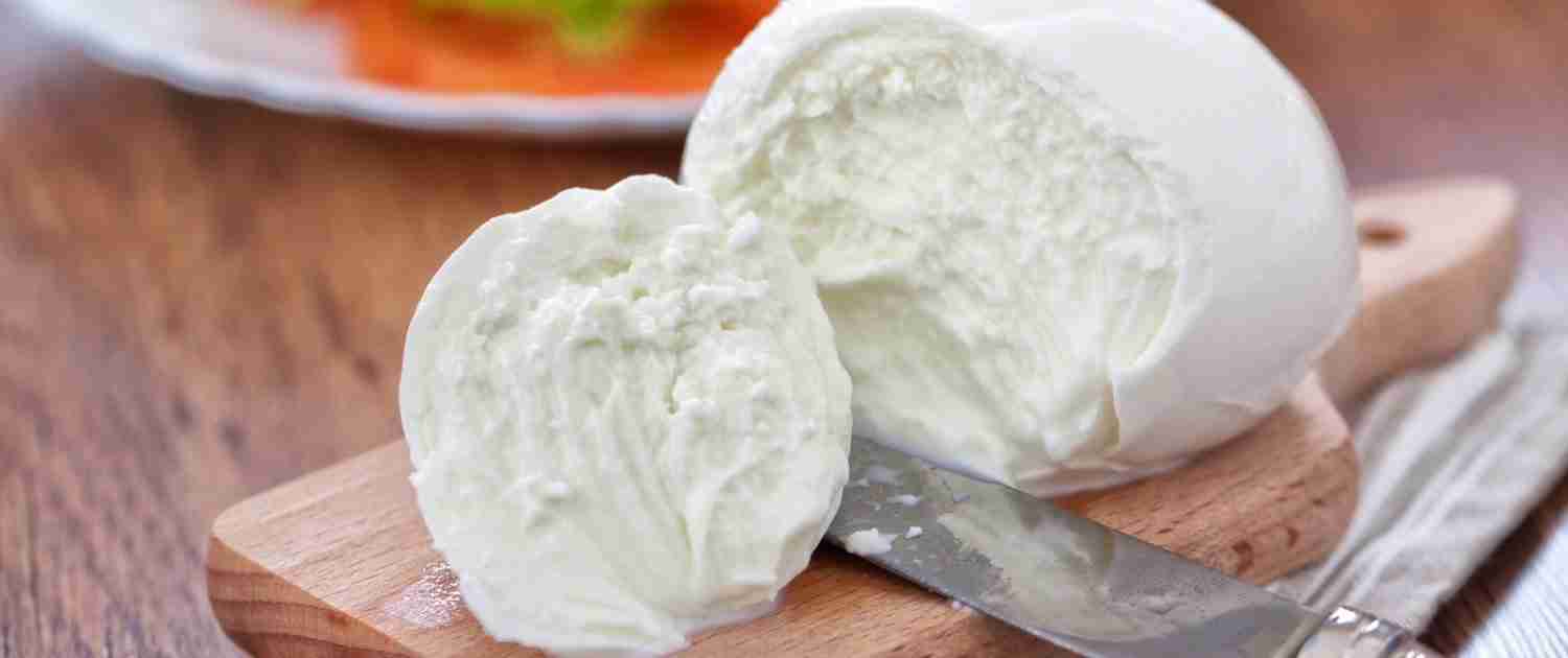 mozzarella di bufala